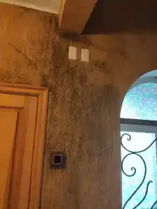 Милославский - 81