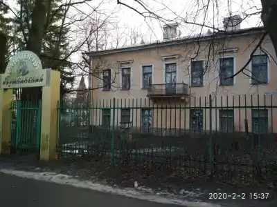 Пушкинский - 1