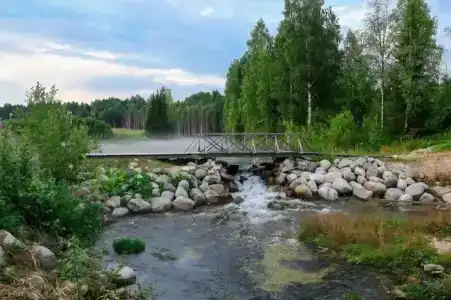 Маркомусы - 16