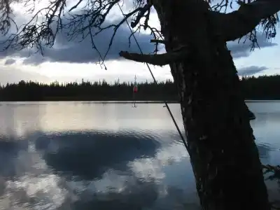 Фаворит - 5