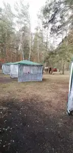 Домик в лесу - 61