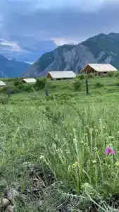 Тайгала - 26
