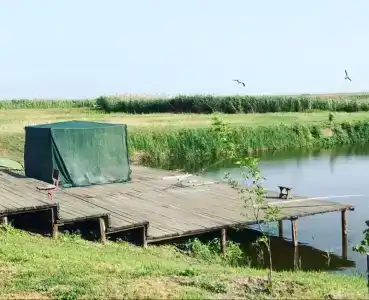 Оазис Станицы - 15