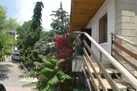 Амир - 2