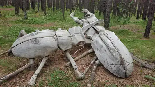 Лукоморье - 28