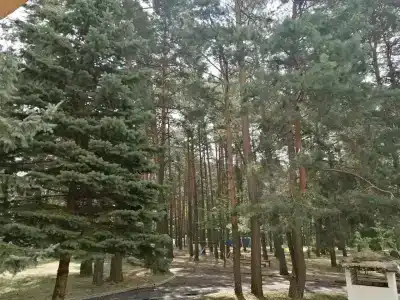 Белое озеро - 8