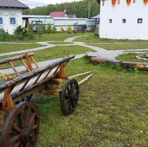 Солонь - 36