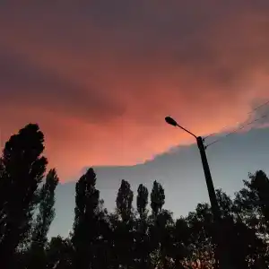 Дубравушка - 33
