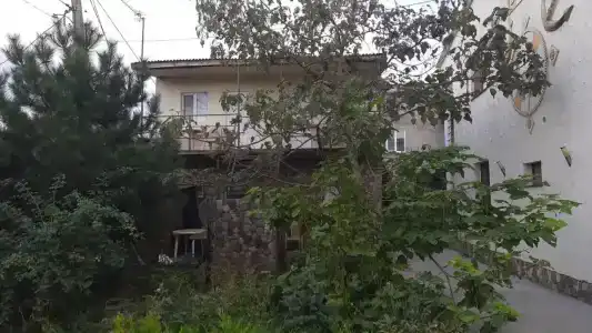 Роза Ветров - 29