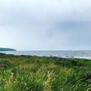 Самая Ладога - 65