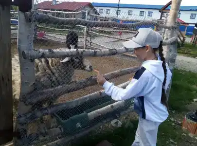 Мурманская страусиная ферма - 52