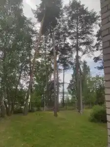 Светлана - 6
