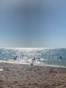 Вилла Гармония - 52