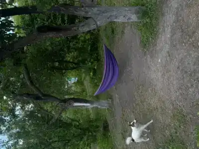 Мел - 26