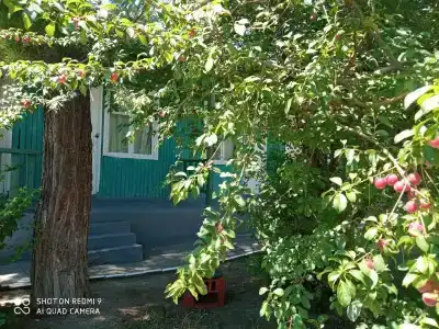 Лаванда - 32