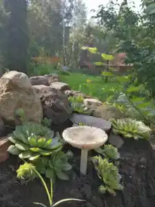 Мультиферма - 9