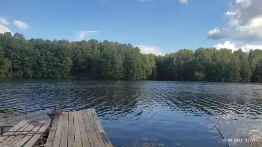 Веселый Роджер - 41