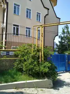 Русалина - 5