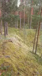 Куха Губа - 17