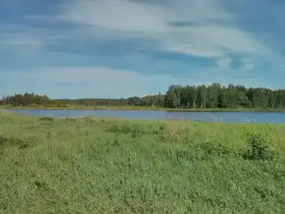Бурдиха - 11