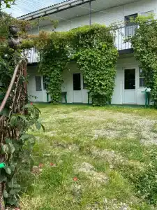 Александрийский дворик - 0