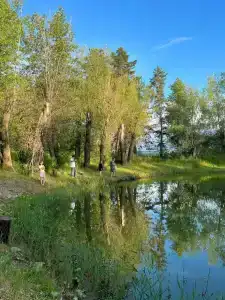 Усадьба - 45