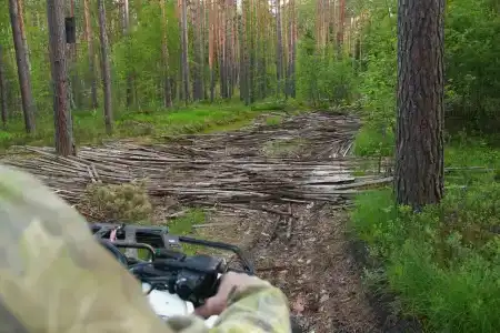 Пчелинцево - 24