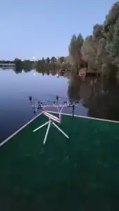 Белый лис - 2