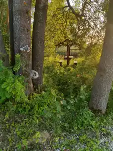 Соколино - 27