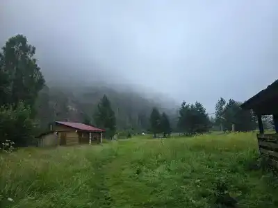 Культамак - 31