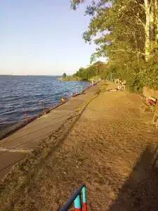 Каштан - 0
