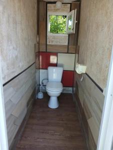 Светлана - 9