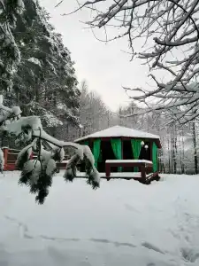 Лесной Эдем - 30