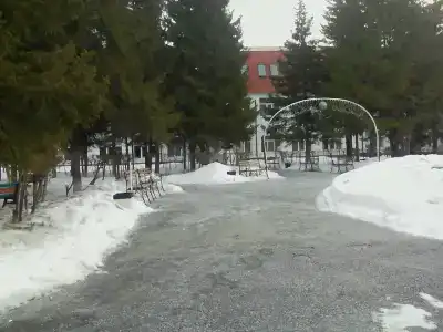 Светлый - 10