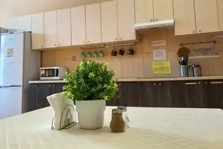 Ark Hostel - 4