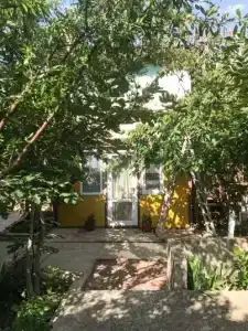 Лев на солнце - 16