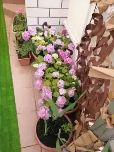 Дом на высоком берегу - 11