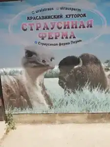 Красавинский хуторок - 38
