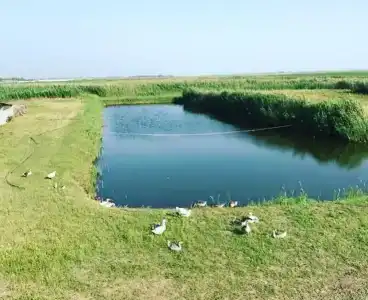 Оазис Станицы - 10