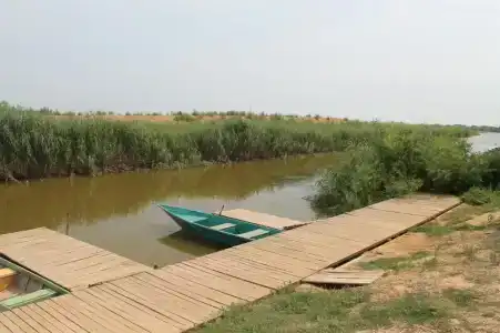 Дельта - 6