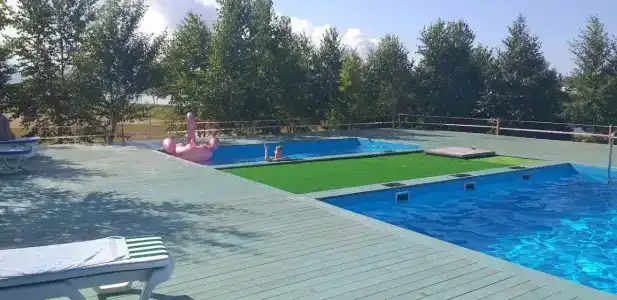 Феникс - 21