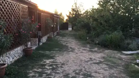 Тарханкутский дворик - 8