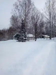 Алёшкино - 6