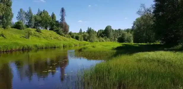Междуречье - 29