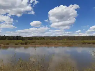 Приокские Зори - 42