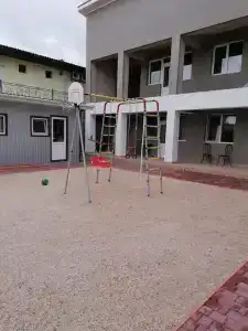 Гербера - 0