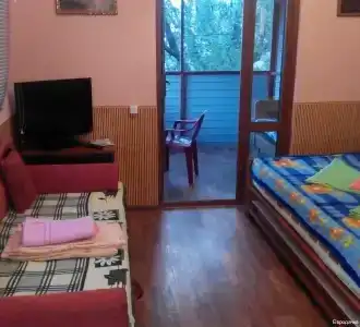 Евродачка - 2