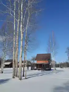 Бабарики - 60