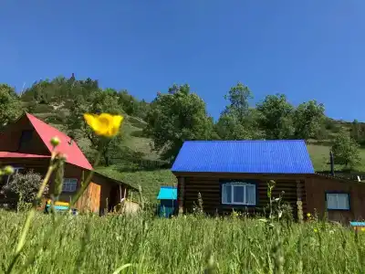 Башкорт-Иле - 0