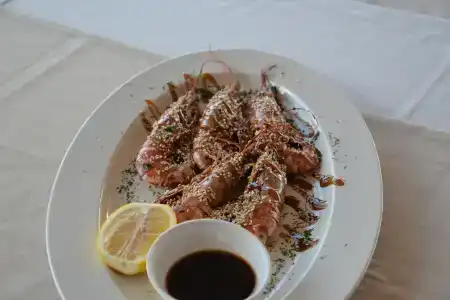 Cedar Grass Териберка - 3